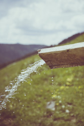 Utilisation d'un adoucisseur d'eau