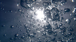 Choisir entre filtration ou ultrafiltration Choisir entre filtration ou ultrafiltration