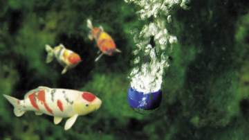 Aérateurs / Oxygénateurs