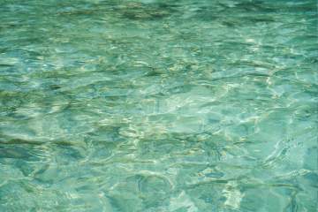 Piscine eau verte : Pourquoi ? Comment l’éviter ? Piscine eau verte : Pourquoi ? Comment l’éviter ?
