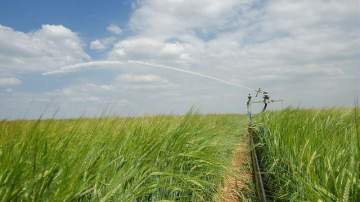 Arrosage agricole